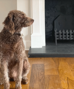 Alternative view of Golden Oak 14mm Enginnered Wood Floor | 1.446 Sq. M Pack Coverage