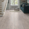 Cool Beige Oak 12mm  Laminate Floor | 1.35m² Pack Coverage